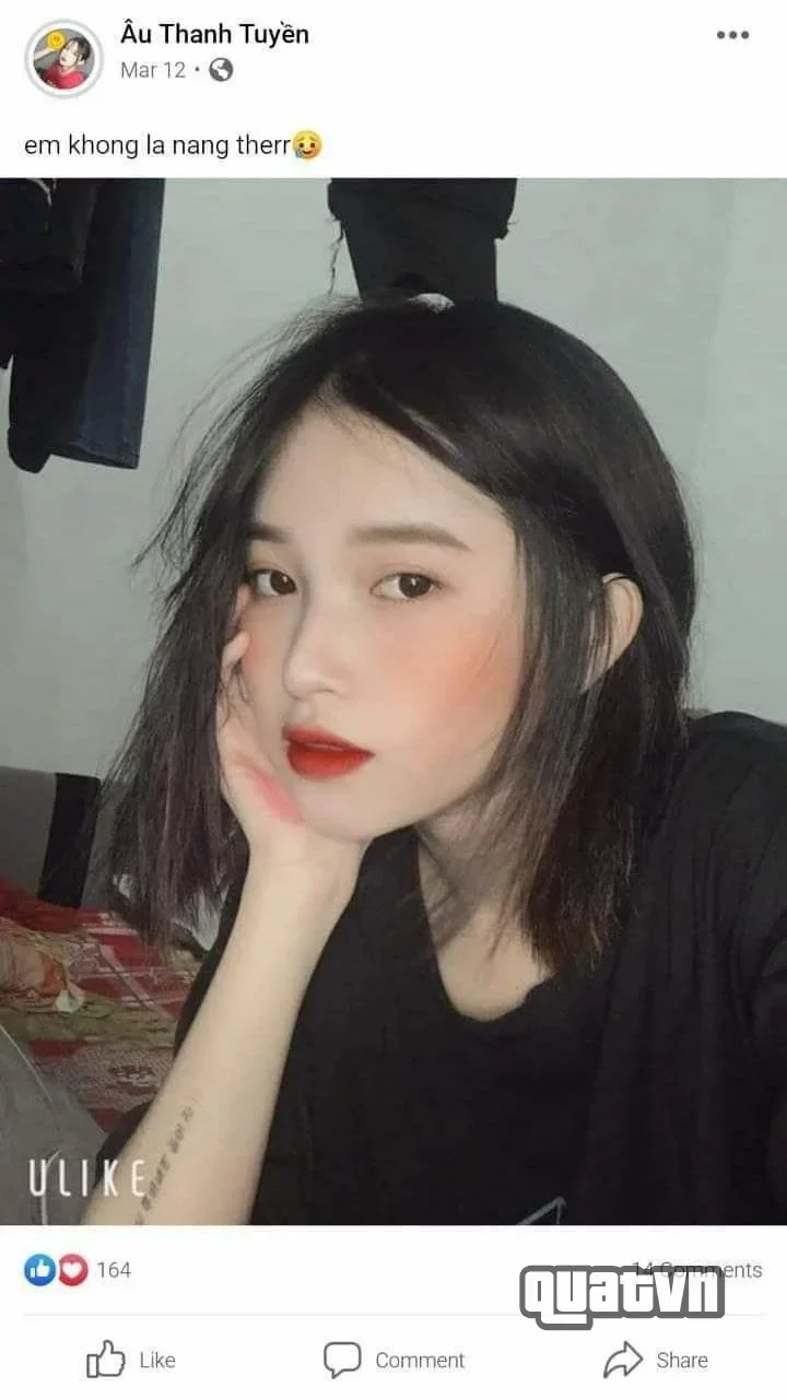 Âu Thanh Tuyền Collection